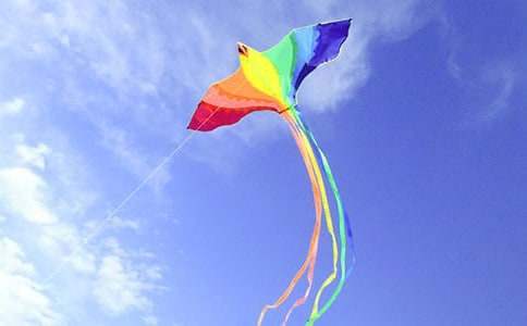 亲子风筝活动方案 亲子风筝节活动方案